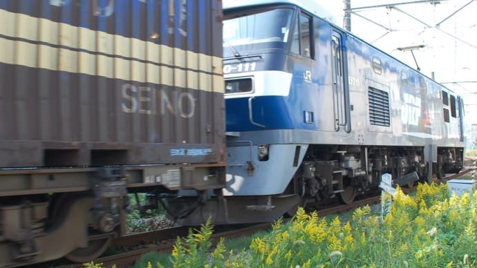今日の日付ネタ 111 =>EF210-111【最厳寺踏切:尻手短絡線】 2015.10.22
