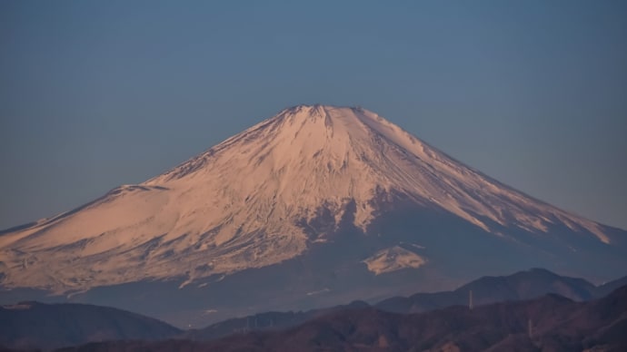 10/Feb 朝の富士山と河津桜とホトケノザとジョウビタキと夕月