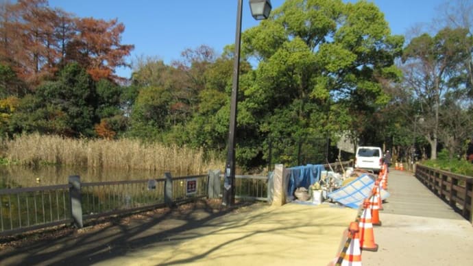 時間を変えて行ってみた~浮間公園