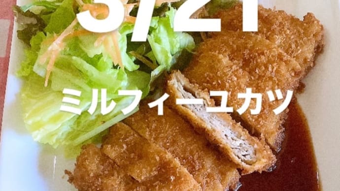 令和7年3月21日の日替わり定食(800円)は、リクエストでミルフィーユカツ 自家製カツソースです