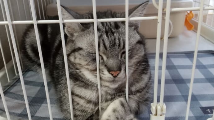 身体と心は繊細。