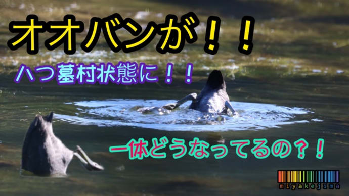 まるで八つ墓村のよう。