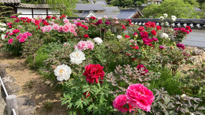 もちつもたれつ