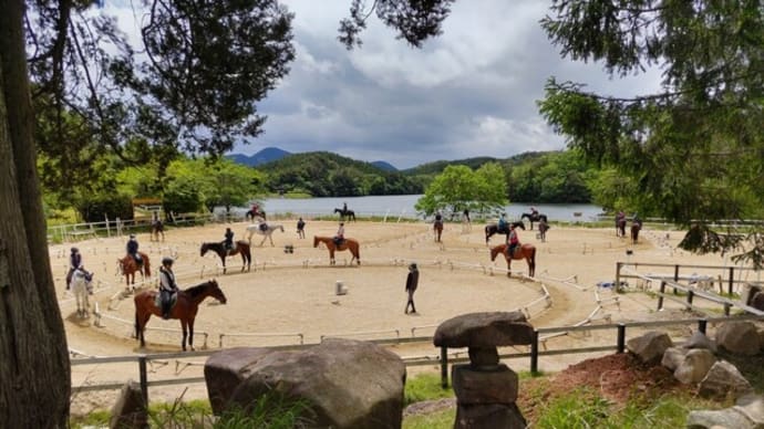 乗馬クラブ クレイン東広島 40鞍騎乗