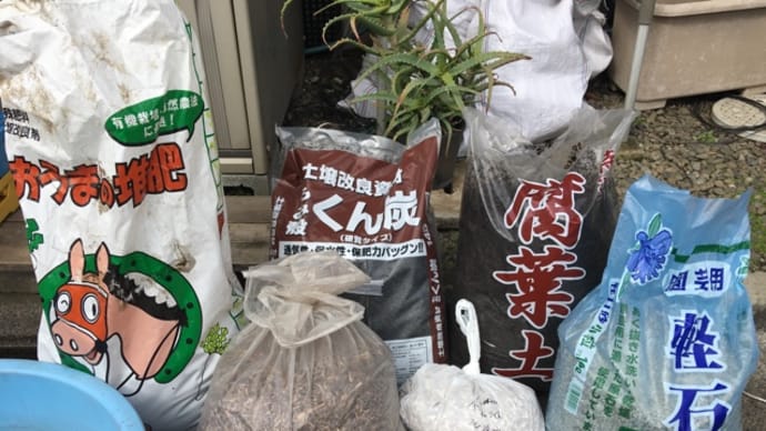 昨日の続き