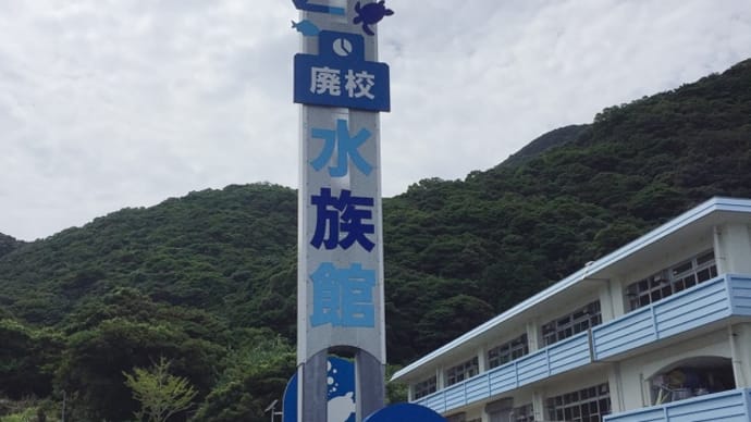 遅くなりましたが(^_^;)