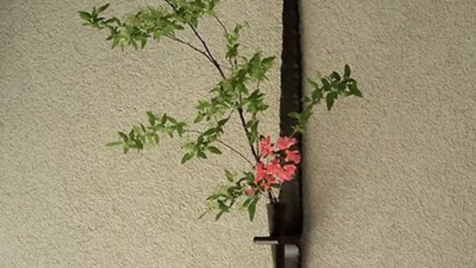 新作アイアン花器たち