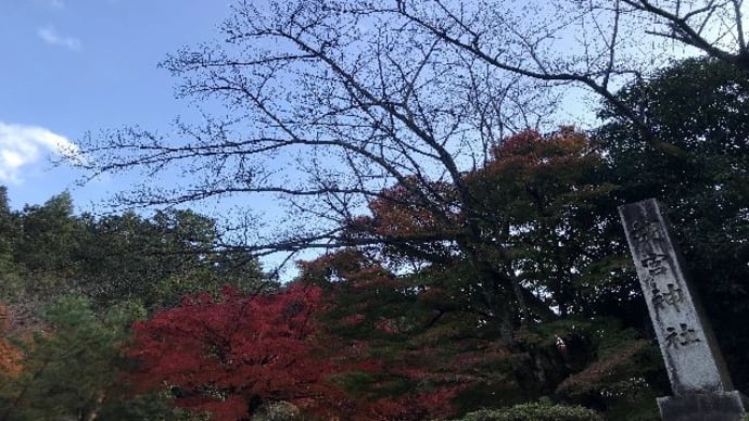 胡宮神社・紅葉
