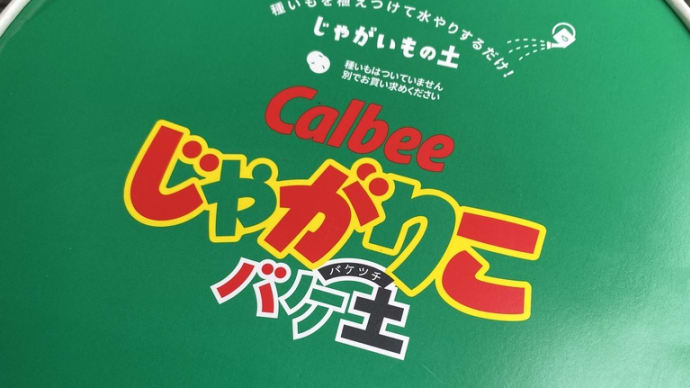 まずは10年〜「2023・主婦日記」の第8週目〜 & じゃがりこバケ土でのじゃがいもの植え付け(Calbee✖️PROTOLEAF)