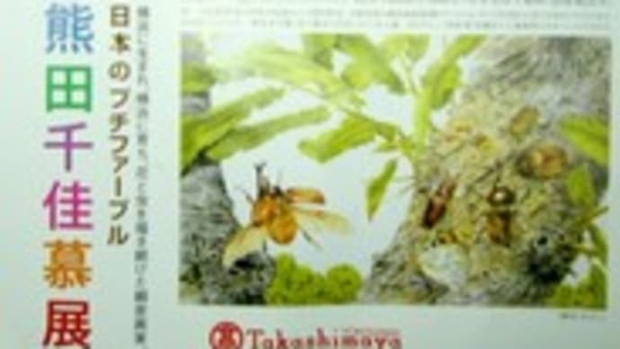 熊田千佳慕(くまだちかぼ)展