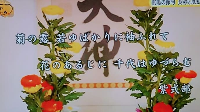 【重陽の節句】【菊の節句】【紫式部】【平安時代】【風習】