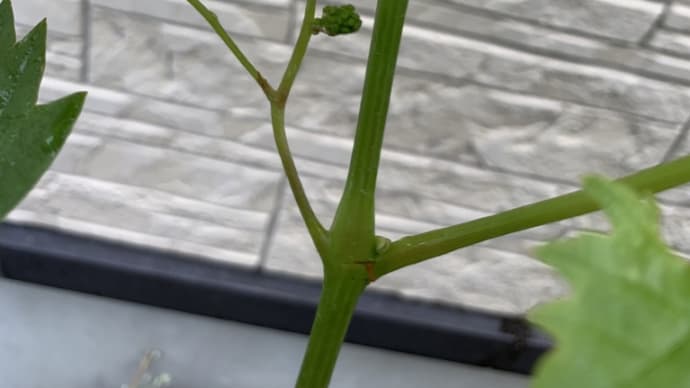 下手な鉄砲ではありますが