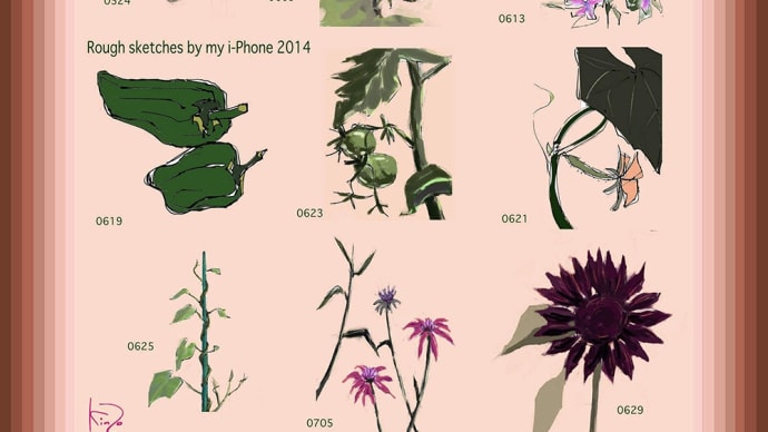 Rough drawings by i-Phone 5842/i-Phoneでの粗描_6(植物)