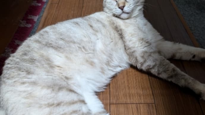 独り占め