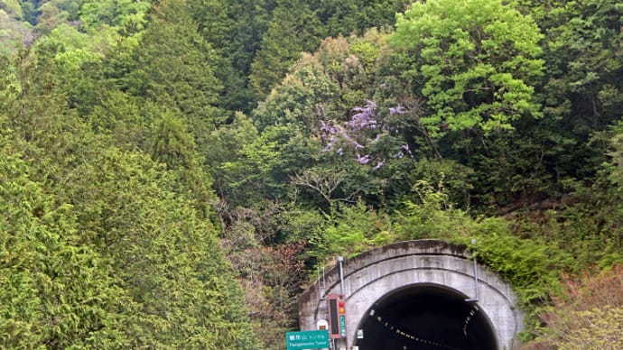 新緑の東海北陸自動車道 2