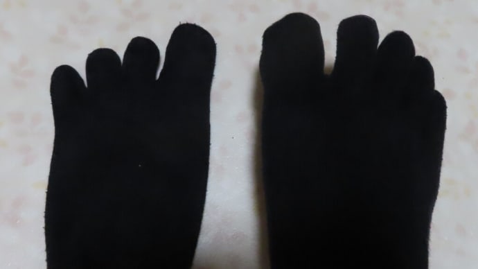 私は何人でしょうかね～？
