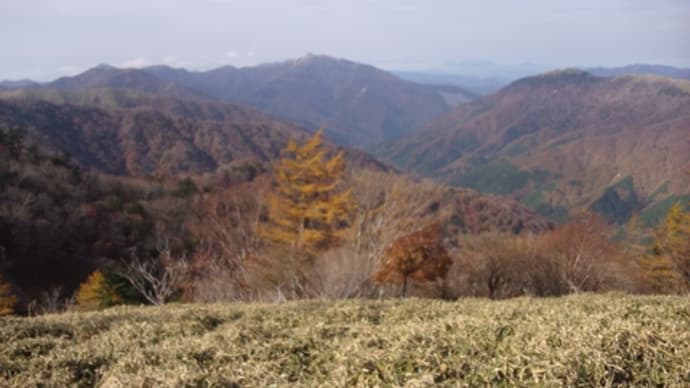 個人ガイド 四国 剣山~一の森