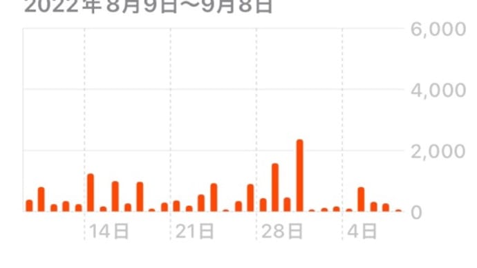 1日1万歩は万歩計から始まった