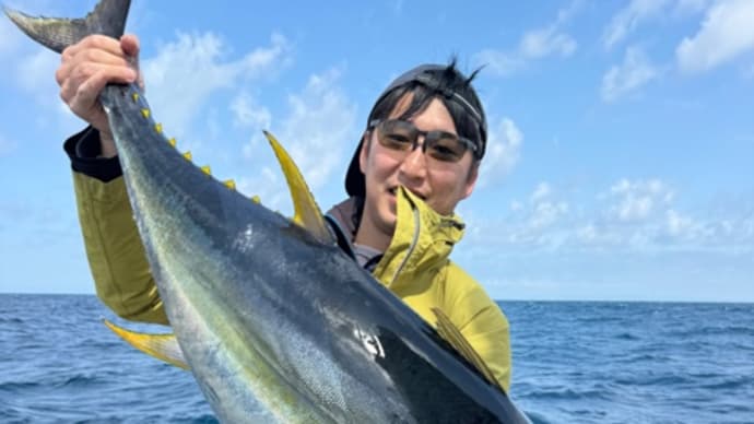 5/8 キハダ15〜18kg 4本 カツオキメジ大漁