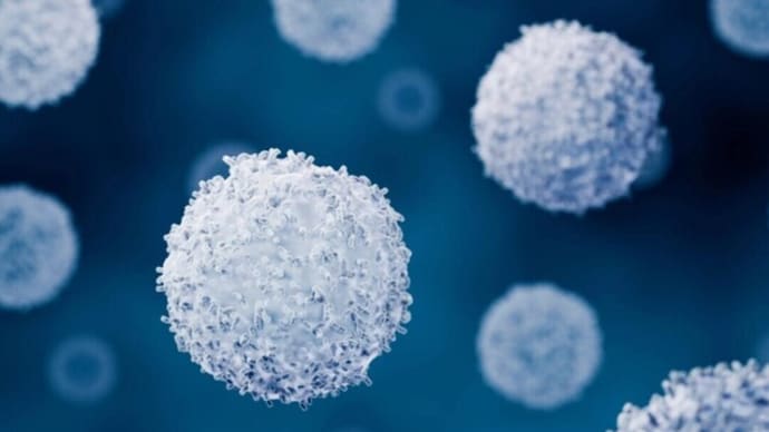 全身性エリテマトーデスの一因を科学者が発見、治療法につながるか