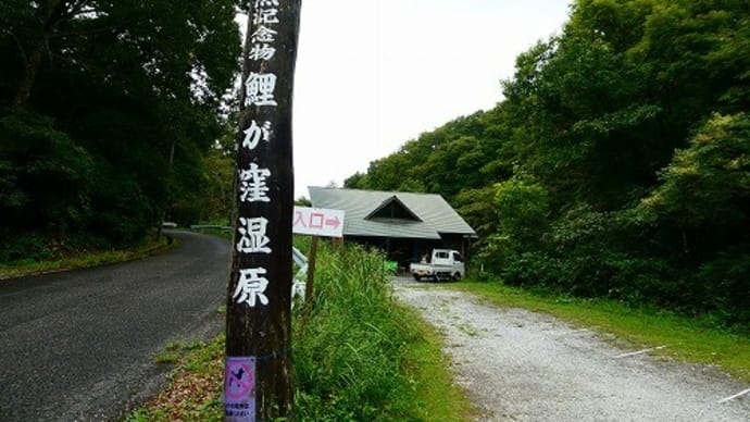 鯉が窪湿原 散策 新見市