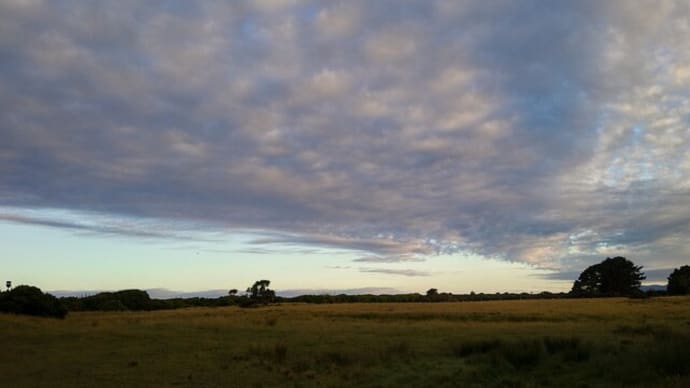 Haast-Jackson Bayの空