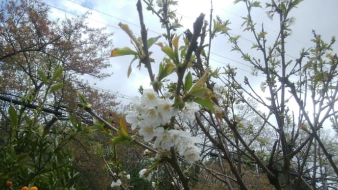 プチリフォームに追われて