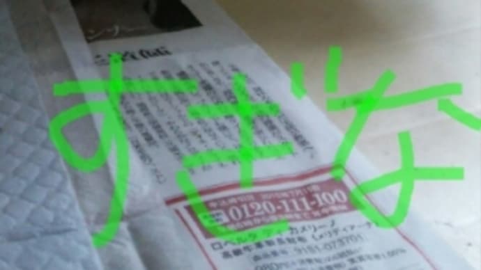 我が家の白ネコ様