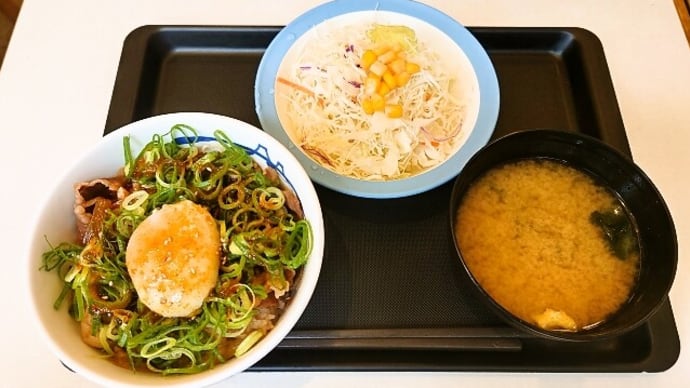 松屋(浦安駅前店)でネギたま牛めしランチセット(並盛)(2023年7月9日)