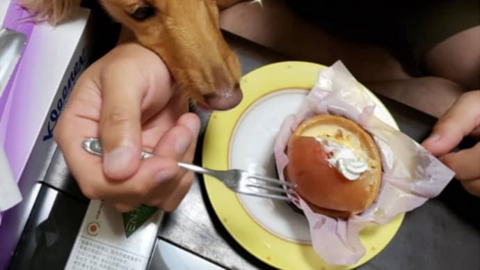 銀とひな