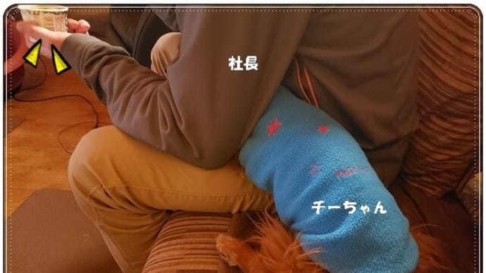 病院報告