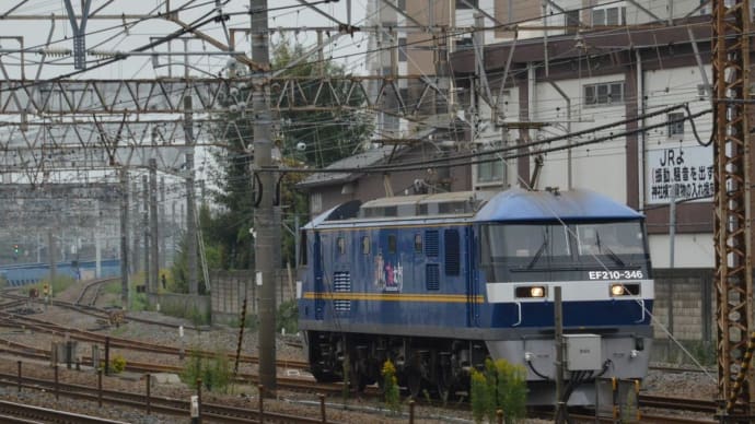 EF210-346 (1791レ)【鶴見駅脇:東海道貨物線】 2022.10.17
