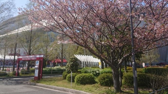 新型コロナウイルス感染症のワクチン接種 追加(3回目)接種