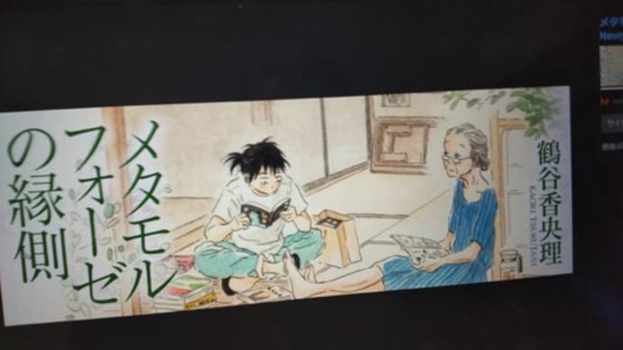 憧れとこうはなりたくないとの間&コメントへの踏み込んだ感想&メタモルフォーゼ
