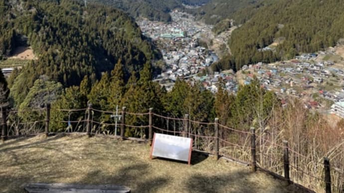 予測通り 不便なってきている