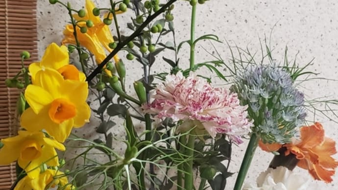 今週(2/8~)の🌼ハナノヒ🌼