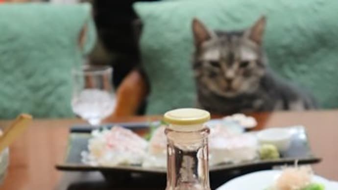 納豆かけごはん ♪