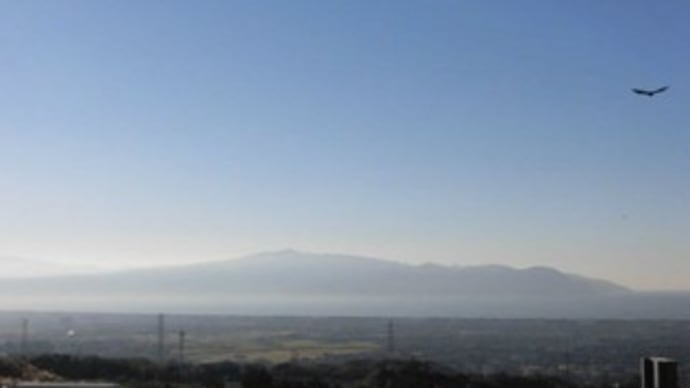 ご当地マンホールとマンホールカードB in 静岡県沼津市