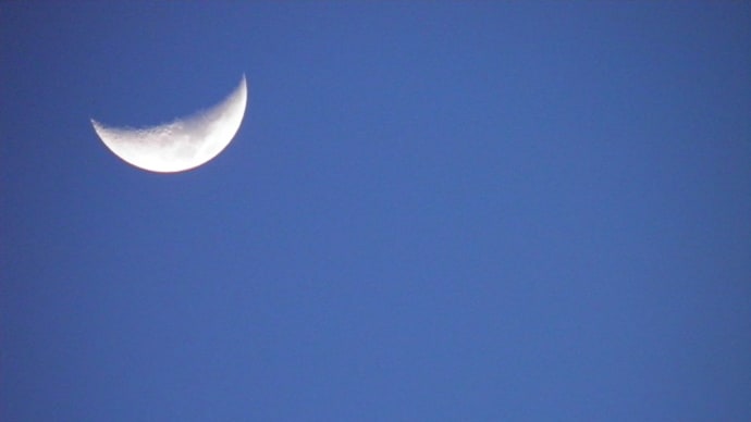 夕刻の南の空に月♪