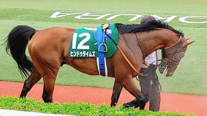 🐴きょうのJRA(23/7/9) 🎋七夕賞,🌟プロキオンS