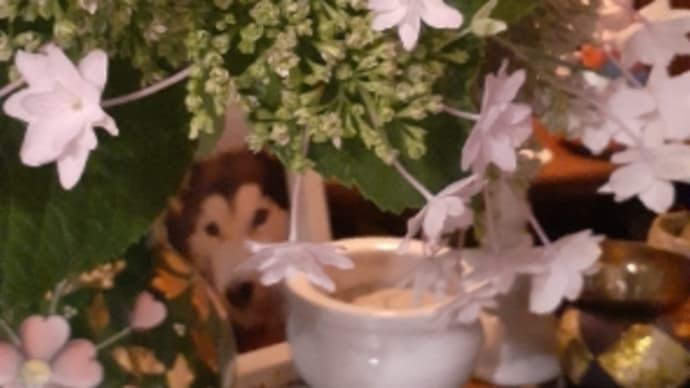 おめでとうおめでとう🎉