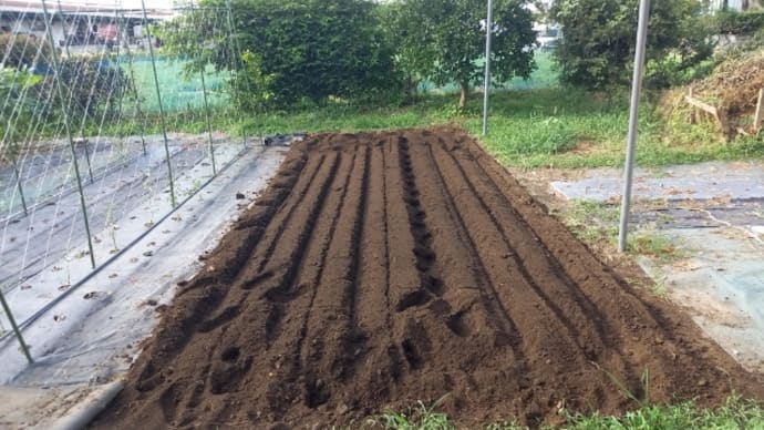 秋冬作用に畑の手入れ