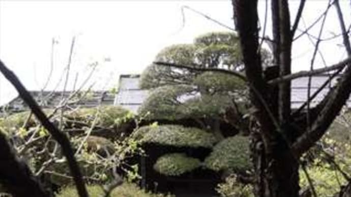 塩尻市内あちこちウォッチ~Ⅰ~ in 長野県塩尻市