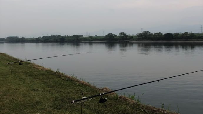 10月4日の鯉釣り