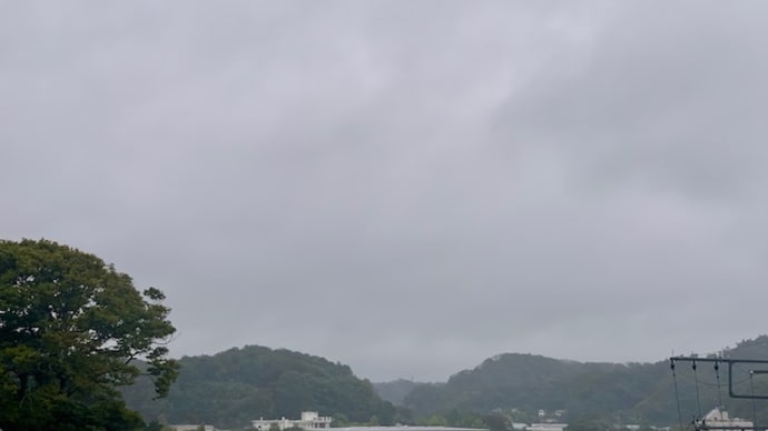 急に寒くなりました