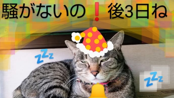 後3日よ❗️ 土曜日Bクラス(12月後半のまとめ) ②メリクリ⛄