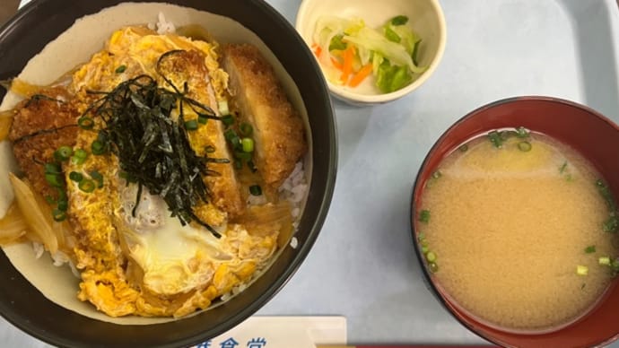 【那覇】修行僧御用達、空港食堂にてカツ丼を食す