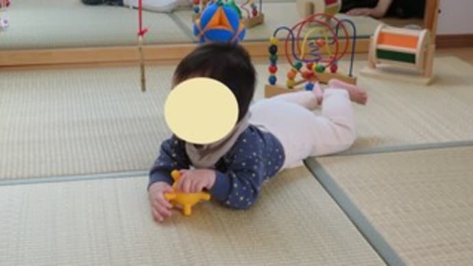 ニド(0歳クラス)(2024年11月)