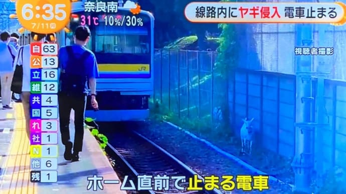 神奈川の国鉄鶴見線に山羊が侵入して電車を立往生させる