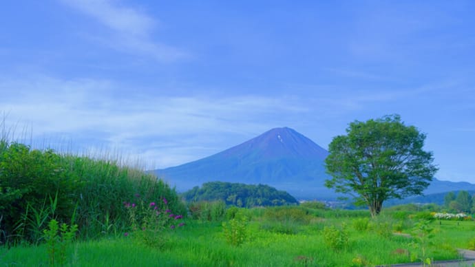sakeの歩窓から(河口湖ラベンダー~花の都公園)